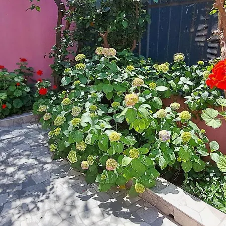 Golden Life 3* اسطنبول