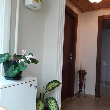 Golden Life شقة فندقية